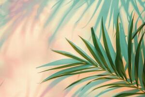 Palm leaf shadow on the wall with sunlight. Natural background with copy space photo