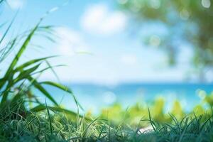 Closeup of green grass blades with a blurry beach and blue sky background photo