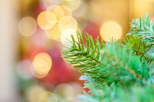 Close up view of a branches of a Christmas tree on a background of lights in blur photo