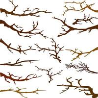 Tree Branch illustration for Nature and Design Projects vector