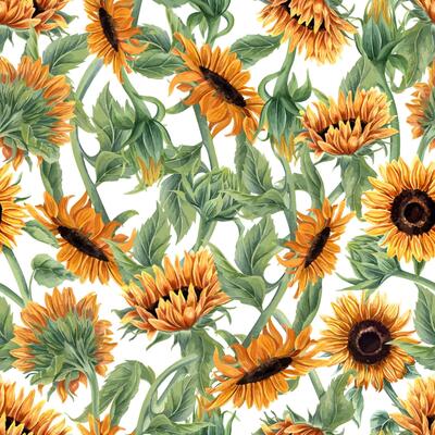 Seamless Pattern with sunflower and green leaves. Intertwining stems of flowers. Floral summer composition. Flowers with leaf. Watercolor illustration. For wallpapers, textiles, and digital artwork.