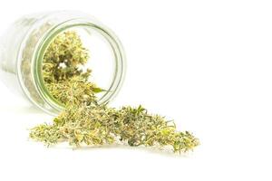 Beautiful drying cannabis buds flower outside of a jar on white background. Close-up photo with space for text. Concept of marijuana plantation for medical and business