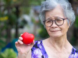 Portrait of a senior woman with short gray hair holding a red heart shape, smiling and looking at the camera while standing in a garden. Aged people and healthcare concept photo