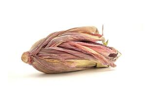 Side view of purple corn or Siam ruby queen isolated on a white background photo
