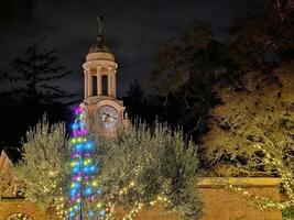 light decorations in a San Francisco garden at night during new year holidays photo