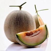 Sweet and fresh melons are appetizing. isolated on white background photo