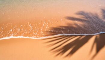 empty abstract sand beach with palm leaf shadow and transparent water wave from above, blank background banner for travel, vacation and wellbeing with copy space. top of views, aerial views photo