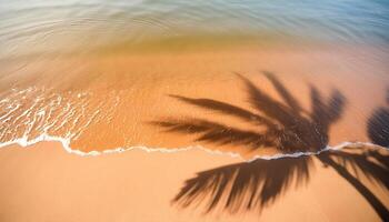 empty abstract sand beach with palm leaf shadow and transparent water wave from above, blank background banner for travel, vacation and wellbeing with copy space. top of views, aerial views photo