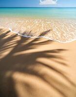 empty abstract sand beach with palm leaf shadow and transparent water wave from above, blank background banner for travel, vacation and wellbeing with copy space. top of views, aerial views photo