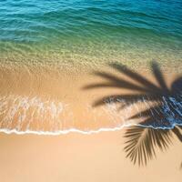 empty abstract sand beach with palm leaf shadow and transparent water wave from above, blank background banner for travel, vacation and wellbeing with copy space. top of views, aerial views photo