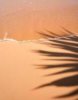 empty abstract sand beach with palm leaf shadow and transparent water wave from above, blank background banner for travel, vacation and wellbeing with copy space. top of views, aerial views photo
