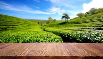 Circle wooden table top with blurred tea plantation landscape with blue sky and blurred green tea garden Natural background product display concept. photo