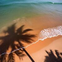 empty abstract sand beach with palm leaf shadow and transparent water wave from above, blank background banner for travel, vacation and wellbeing with copy space. top of views, aerial views photo