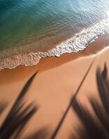 empty abstract sand beach with palm leaf shadow and transparent water wave from above, blank background banner for travel, vacation and wellbeing with copy space. top of views, aerial views photo