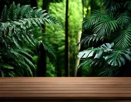 tropical forest for product presentation and dark green forest. photo