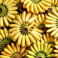 Close-up shot of group of bananas. flat lay. full frame. background concept. top of views. photo