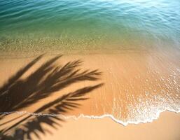 empty abstract sand beach with palm leaf shadow and transparent water wave from above, blank background banner for travel, vacation and wellbeing with copy space. top of views, aerial views photo