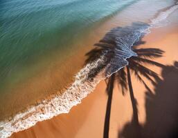 empty abstract sand beach with palm leaf shadow and transparent water wave from above, blank background banner for travel, vacation and wellbeing with copy space. top of views, aerial views photo