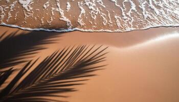 empty abstract sand beach with palm leaf shadow and transparent water wave from above, blank background banner for travel, vacation and wellbeing with copy space. top of views, aerial views photo