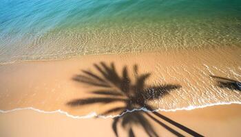 empty abstract sand beach with palm leaf shadow and transparent water wave from above, blank background banner for travel, vacation and wellbeing with copy space. top of views, aerial views photo