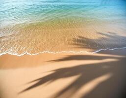 empty abstract sand beach with palm leaf shadow and transparent water wave from above, blank background banner for travel, vacation and wellbeing with copy space. top of views, aerial views photo