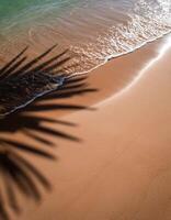 empty abstract sand beach with palm leaf shadow and transparent water wave from above, blank background banner for travel, vacation and wellbeing with copy space. top of views, aerial views photo