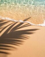 empty abstract sand beach with palm leaf shadow and transparent water wave from above, blank background banner for travel, vacation and wellbeing with copy space. top of views, aerial views photo