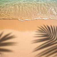 empty abstract sand beach with palm leaf shadow and transparent water wave from above, blank background banner for travel, vacation and wellbeing with copy space. top of views, aerial views photo