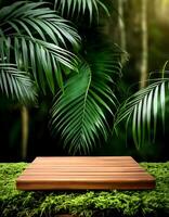 tropical forest for product presentation and dark green forest. photo
