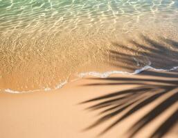empty abstract sand beach with palm leaf shadow and transparent water wave from above, blank background banner for travel, vacation and wellbeing with copy space. top of views, aerial views photo