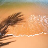 empty abstract sand beach with palm leaf shadow and transparent water wave from above, blank background banner for travel, vacation and wellbeing with copy space. top of views, aerial views photo