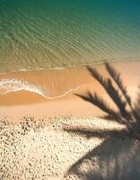 empty abstract sand beach with palm leaf shadow and transparent water wave from above, blank background banner for travel, vacation and wellbeing with copy space. top of views, aerial views photo