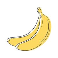 Bananas outline isolated on white background. Banana fruit sketch. illustration vector