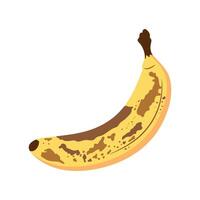 Overripe banana fruit in flat style isolated on white background. Cartoon banana with brown spots. illustration vector