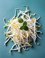 Creative food concept. Fresh a pile of Bean Sprouts against a white background photo