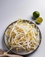 Creative food concept. Fresh a pile of Bean Sprouts against a white background photo
