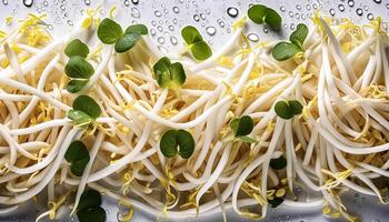 Creative food concept. Fresh a pile of Bean Sprouts against a white background photo