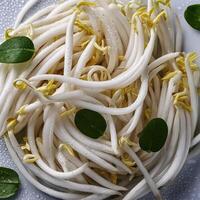 Creative food concept. Fresh a pile of Bean Sprouts against a white background photo