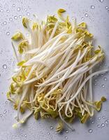 Creative food concept. Fresh a pile of Bean Sprouts against a white background photo