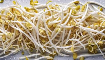 Creative food concept. Fresh a pile of Bean Sprouts against a white background photo