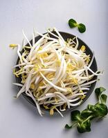 Creative food concept. Fresh a pile of Bean Sprouts against a white background photo