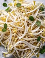 Creative food concept. Fresh a pile of Bean Sprouts against a white background photo