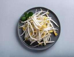 Creative food concept. Fresh a pile of Bean Sprouts against a white background photo