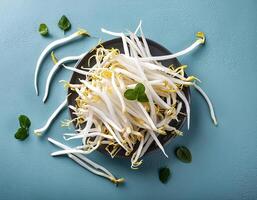 Creative food concept. Fresh a pile of Bean Sprouts against a white background photo