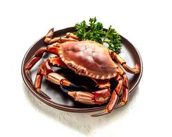 seafood concept. Fresh Big crab photo