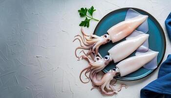 fresh raw squid, seafood. From nature, top view. It is isolated on white background. photo
