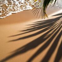 empty abstract sand beach with palm leaf shadow and transparent water wave from above, blank background banner for travel, vacation and wellbeing with copy space. top of views, aerial views. photo