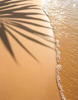 empty abstract sand beach with palm leaf shadow and transparent water wave from above, blank background banner for travel, vacation and wellbeing with copy space. top of views, aerial views. photo