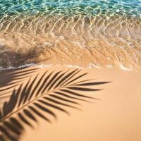 empty abstract sand beach with palm leaf shadow and transparent water wave from above, blank background banner for travel, vacation and wellbeing with copy space. top of views, aerial views. photo