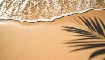 empty abstract sand beach with palm leaf shadow and transparent water wave from above, blank background banner for travel, vacation and wellbeing with copy space. top of views, aerial views. photo
